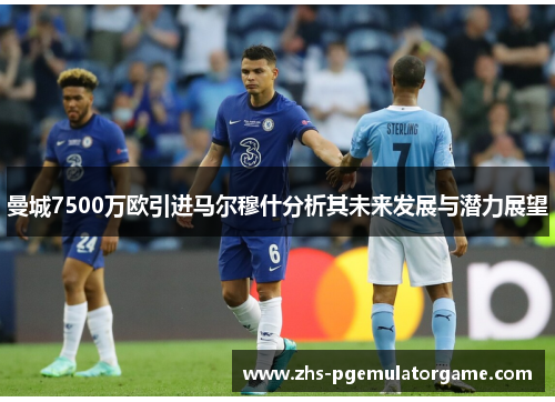 曼城7500万欧引进马尔穆什分析其未来发展与潜力展望 曼城7500万欧引进马尔穆什分析其未来发展与潜力展望